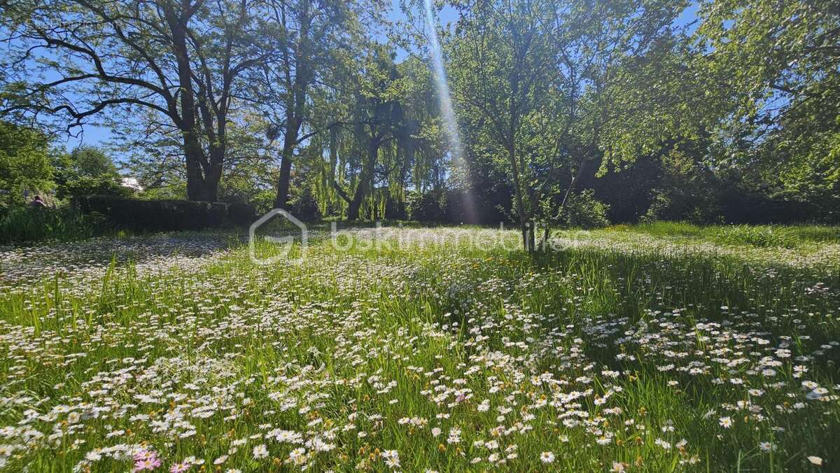 Maison à SAINT-JEAN-DE-BRAYE