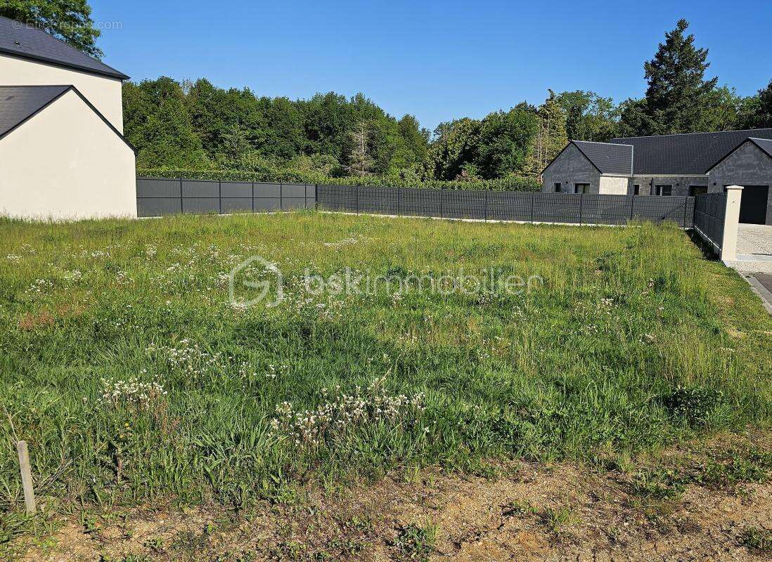 Terrain à BRAY-EN-VAL