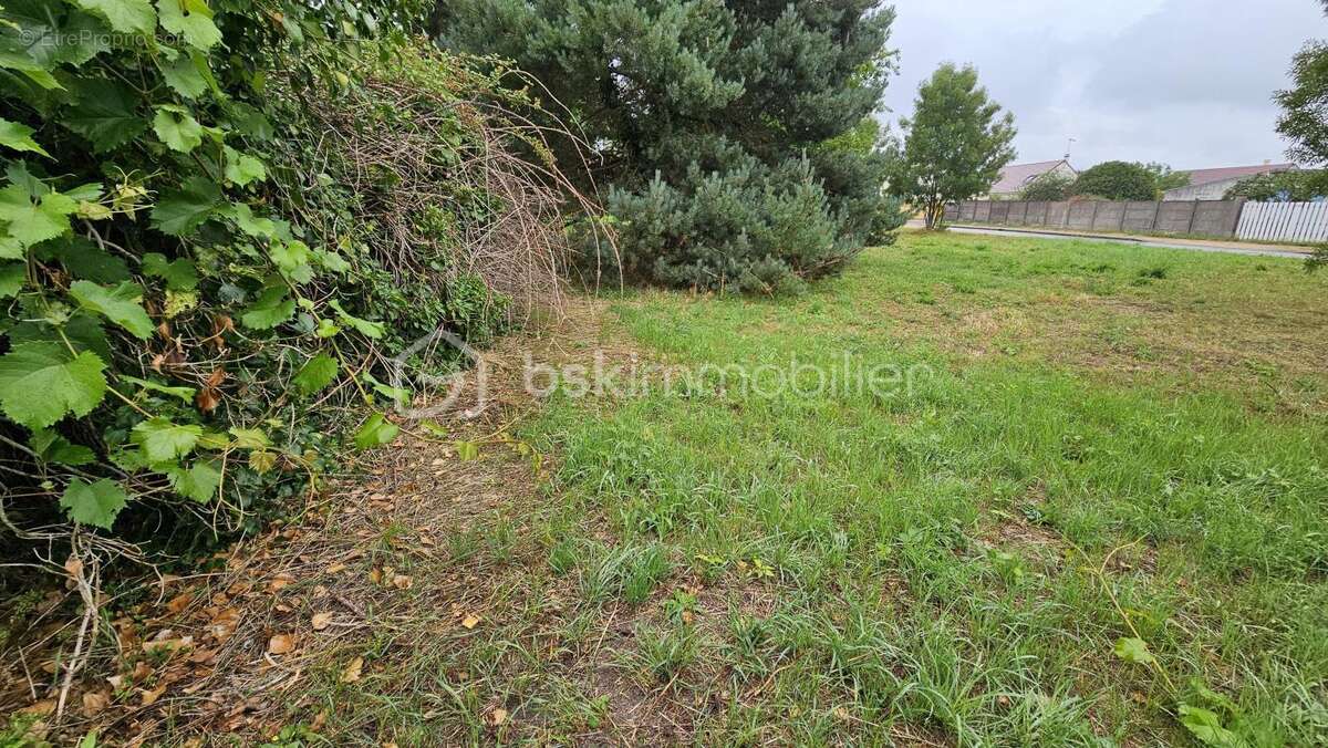 Terrain à FLEURY-LES-AUBRAIS