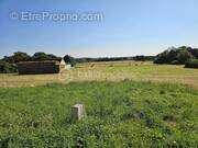 Terrain à LA GUERCHE-SUR-L&#039;AUBOIS