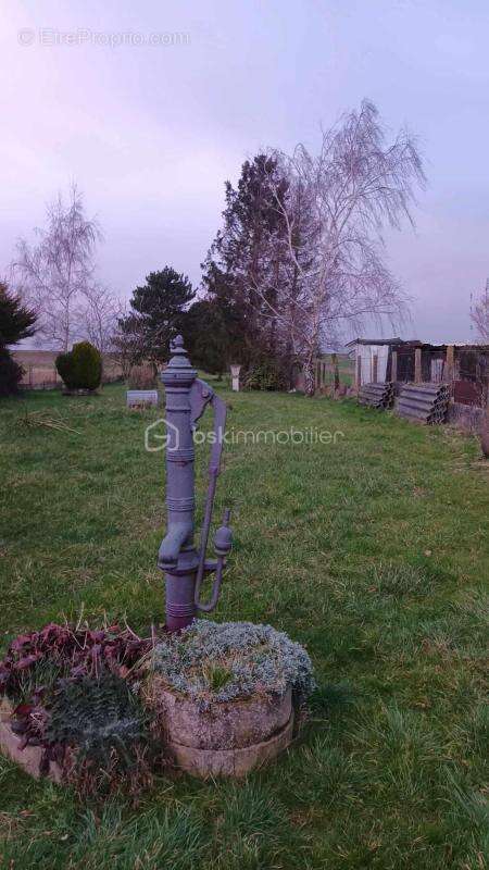 Maison à ARLEUX-EN-GOHELLE