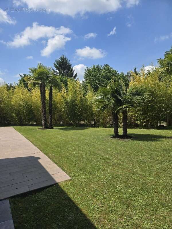 Maison à JOUE-LES-TOURS