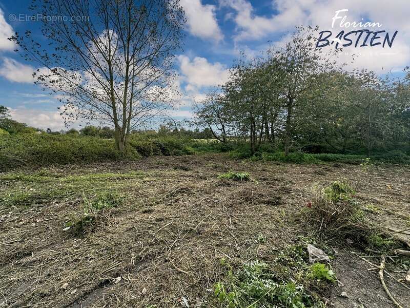 Maison à LA SENTINELLE