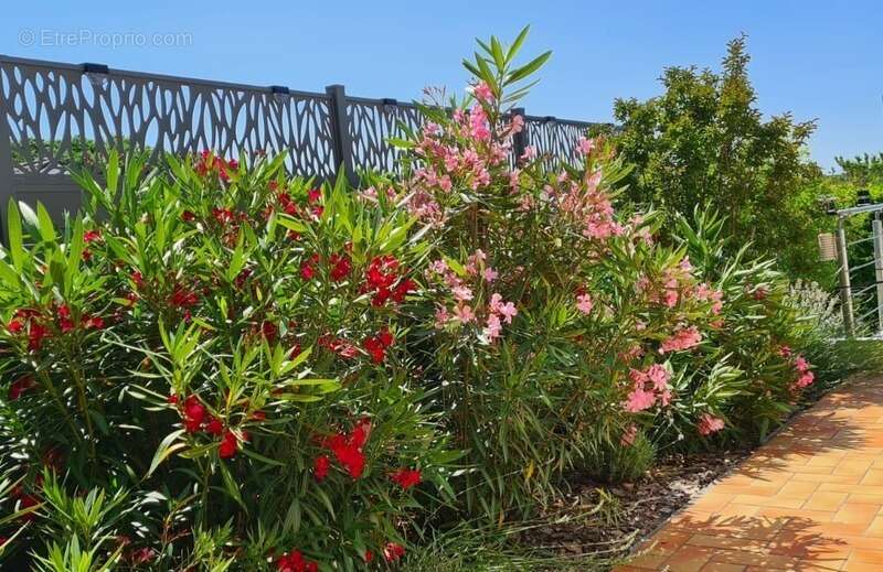 Maison à CORCELLES-LES-CITEAUX