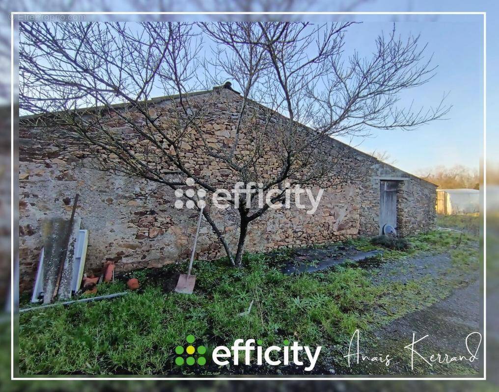 Terrain à LE LANDREAU