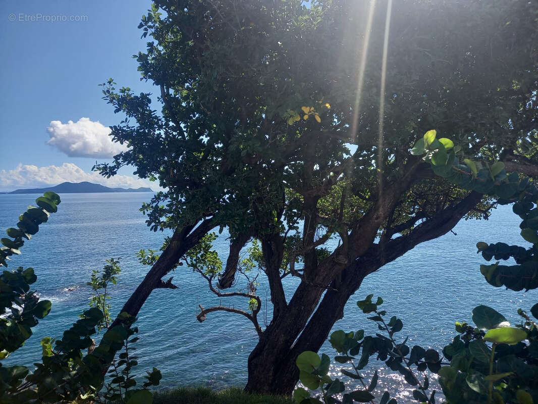 Appartement à VIEUX-FORT