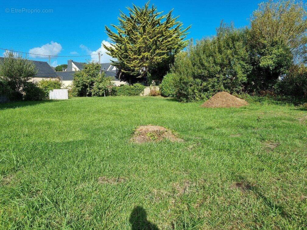 Terrain à TREVOU-TREGUIGNEC