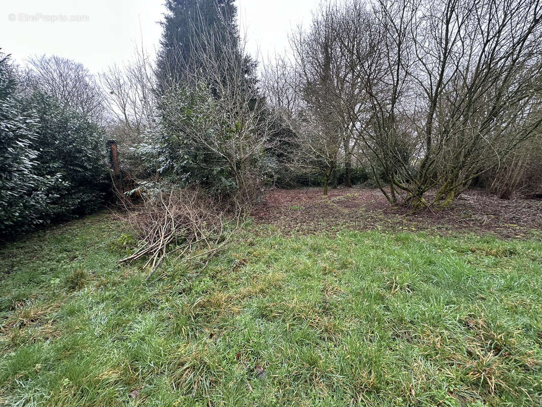 Maison à SAINT-BARTHELEMY