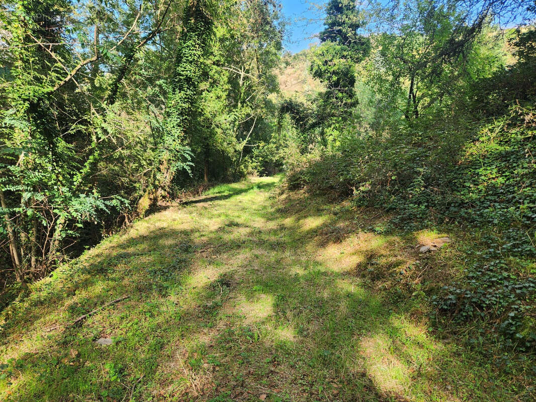 Terrain à CHATEAUNEUF