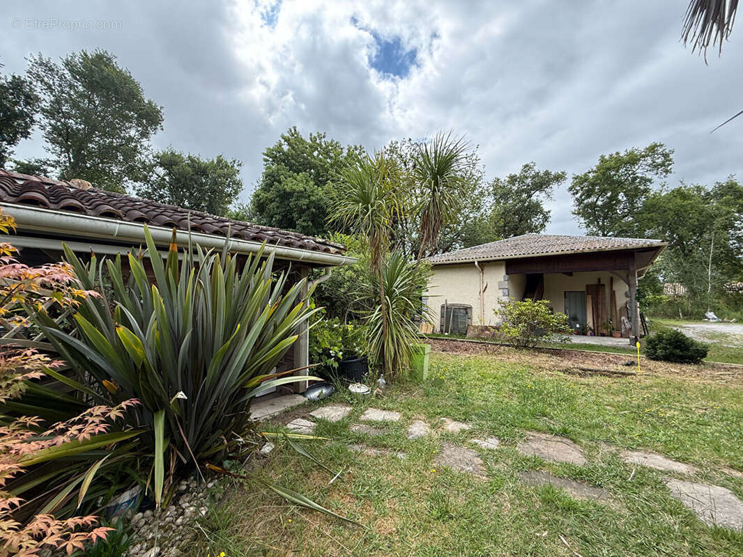 Maison à BENESSE-MAREMNE