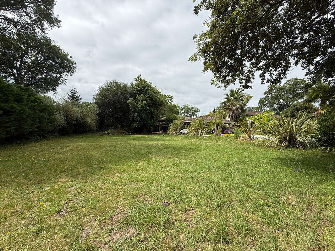 Maison à BENESSE-MAREMNE