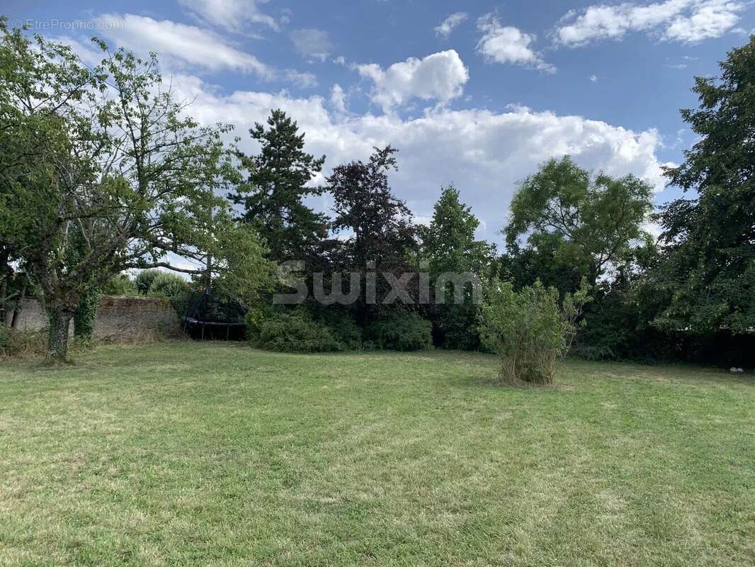 Commerce à CHARNAY-LES-MACON