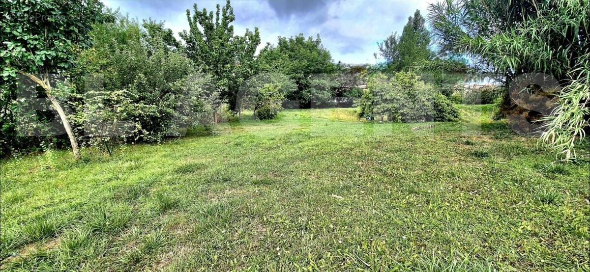 Screenshot_20250902_180957_Gallery - Terrain à WASSELONNE