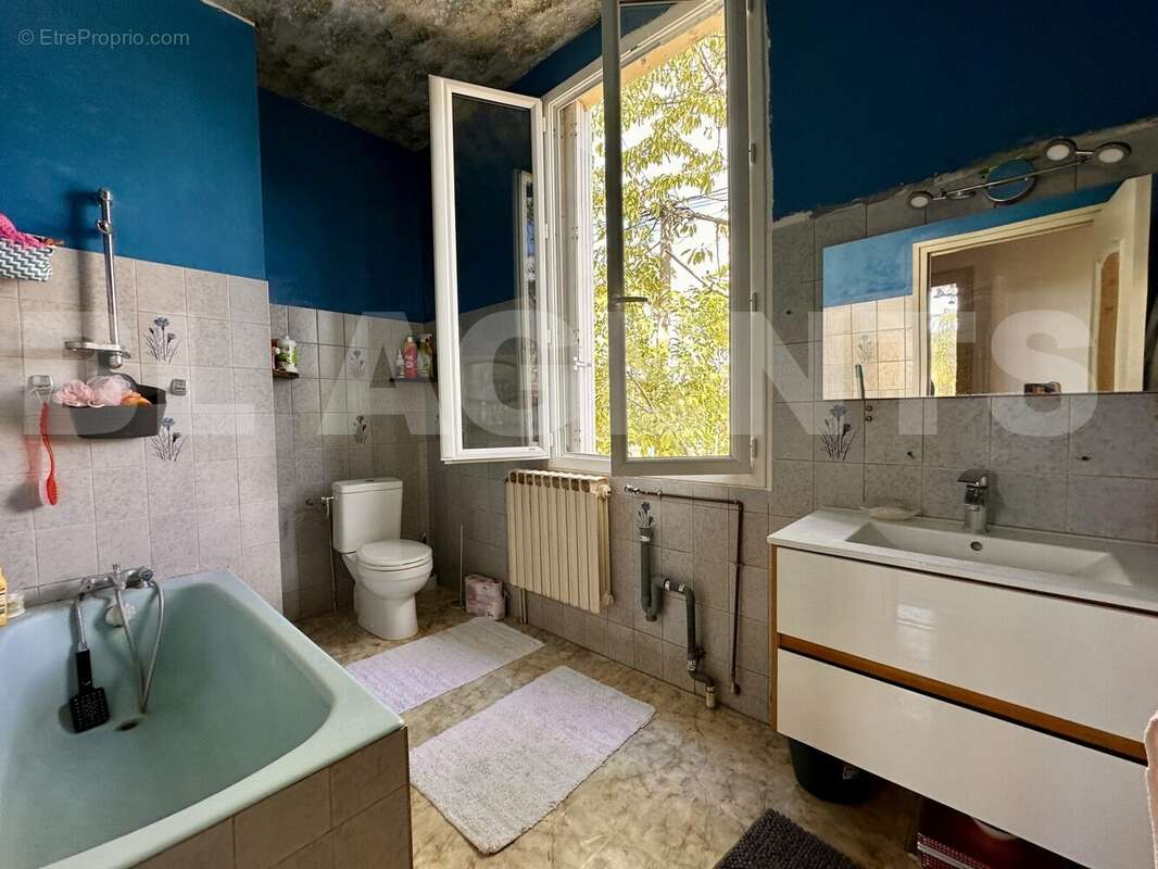 IMG_4400 - Maison à TERRASSON-LAVILLEDIEU