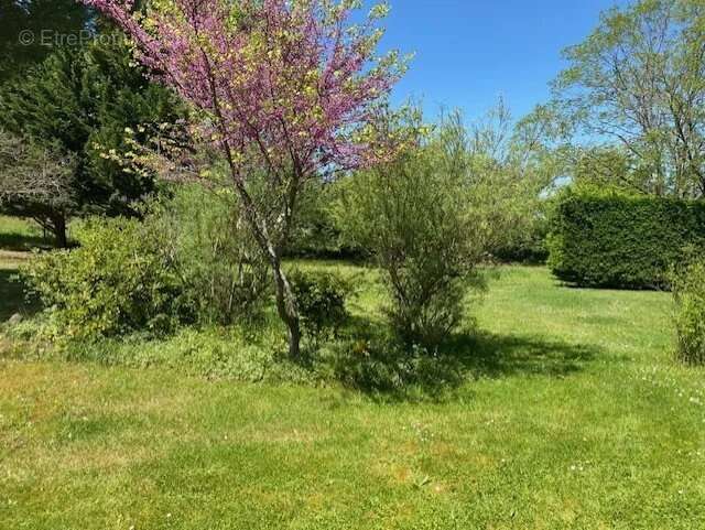 Maison à LAGARDELLE-SUR-LEZE