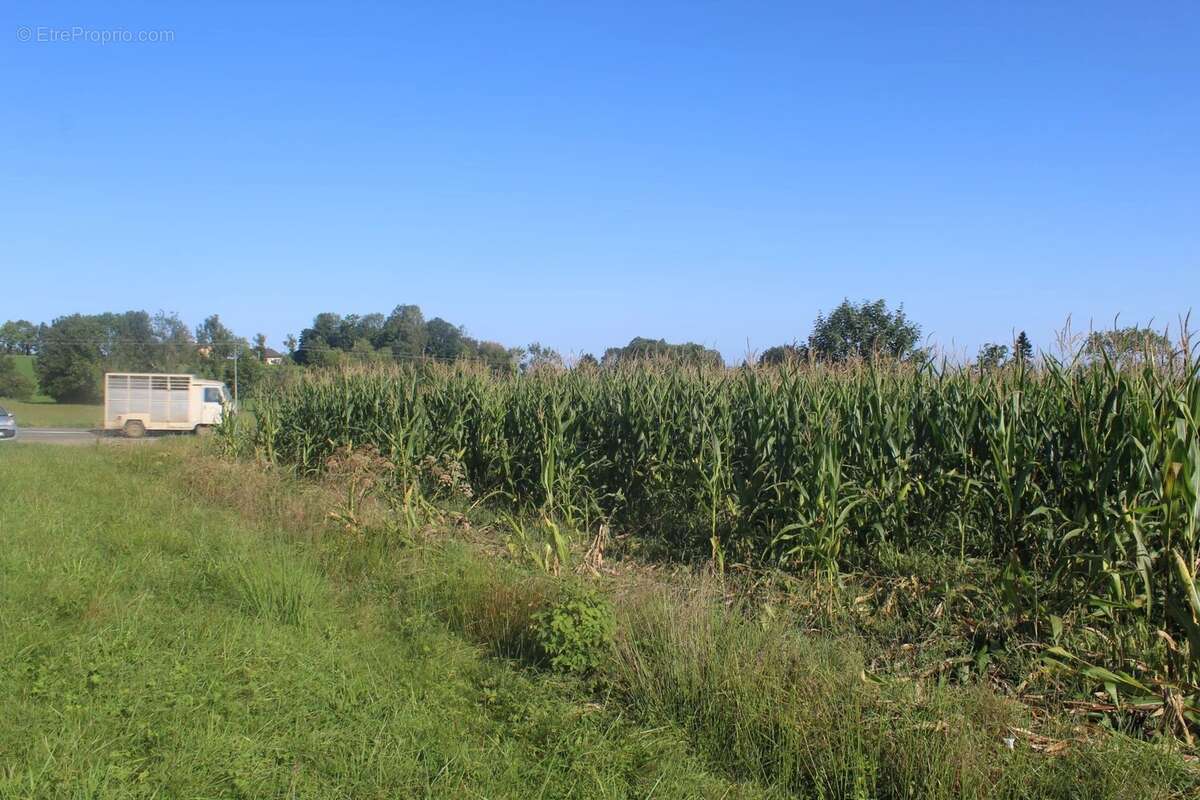 Terrain à BAGNERES-DE-BIGORRE