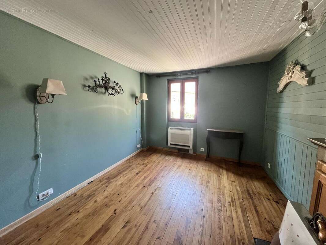 IMG8526 - Maison à SAINT-CYPRIEN