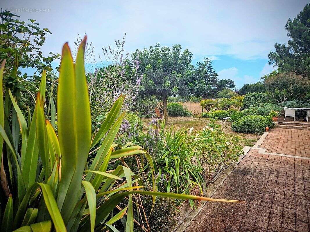 Maison à L&#039;HOUMEAU