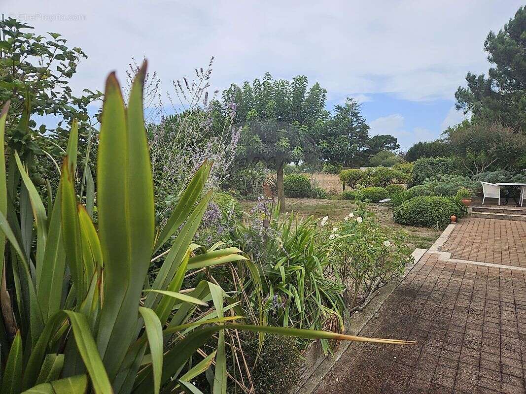 Maison à L&#039;HOUMEAU