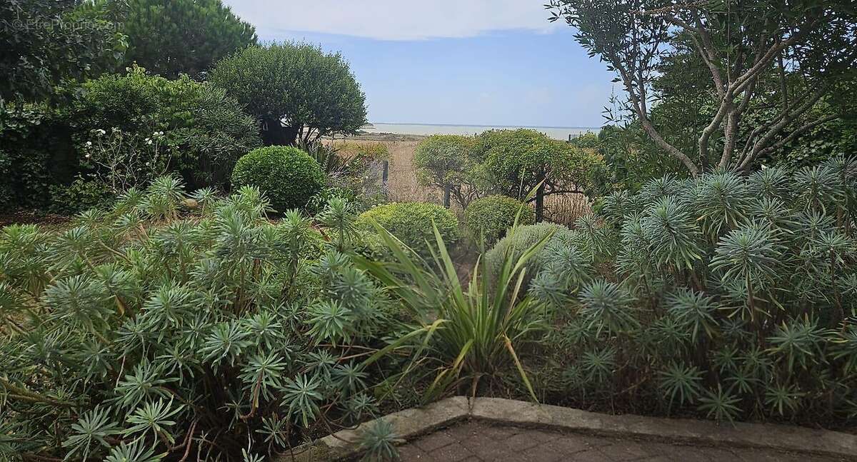Maison à L&#039;HOUMEAU