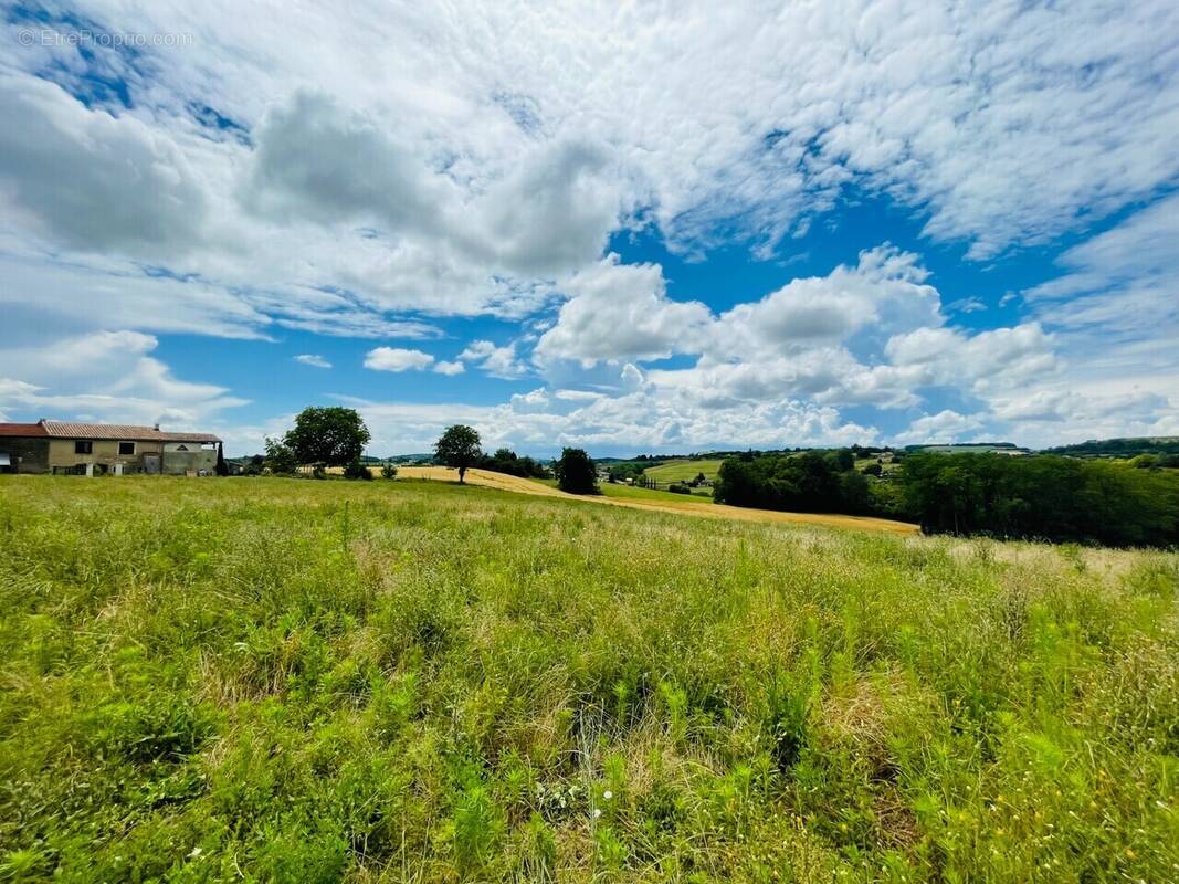 Terrain à MONTCHENU