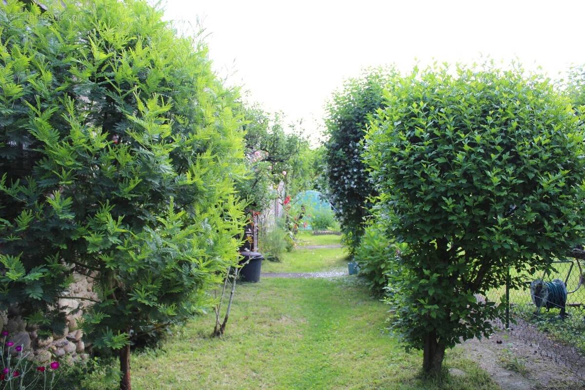 Appartement à OLORON-SAINTE-MARIE