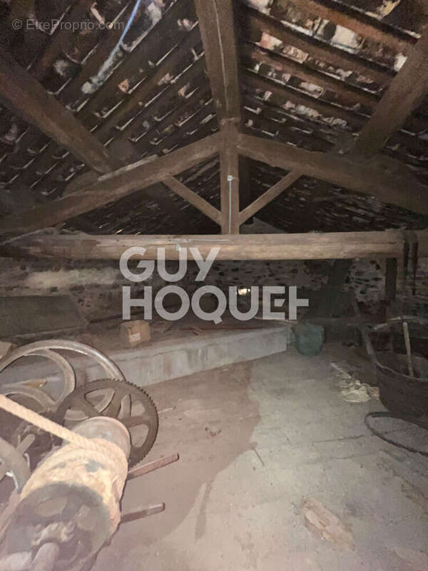 Autre à SAINT-JEAN-DE-MINERVOIS