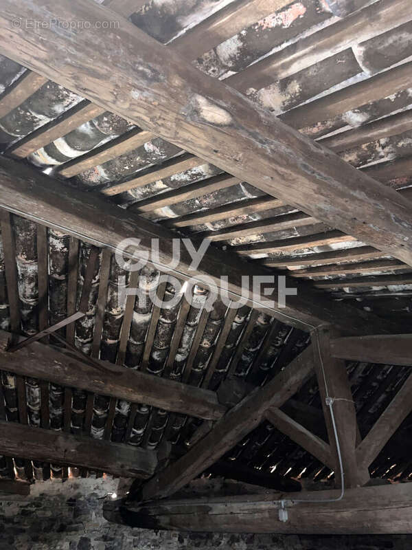 Autre à SAINT-JEAN-DE-MINERVOIS