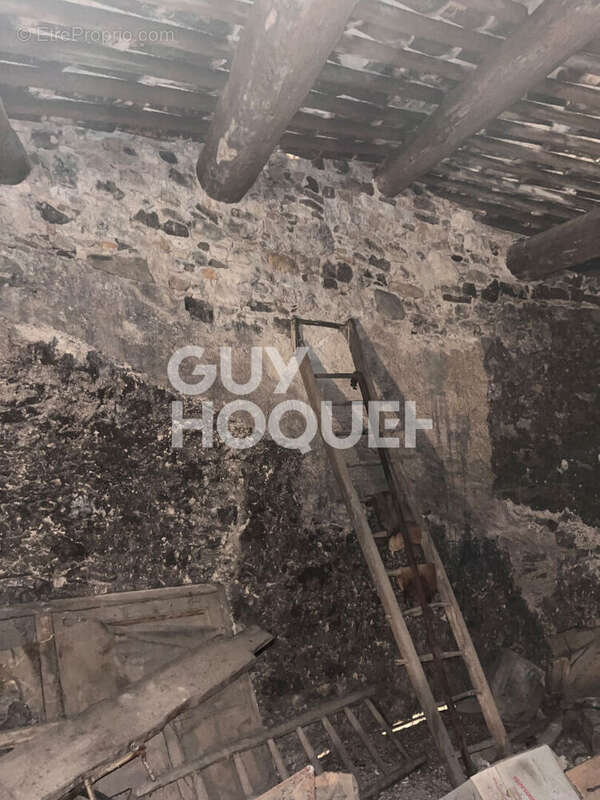 Autre à SAINT-JEAN-DE-MINERVOIS