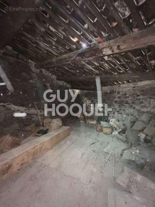 Autre à SAINT-JEAN-DE-MINERVOIS