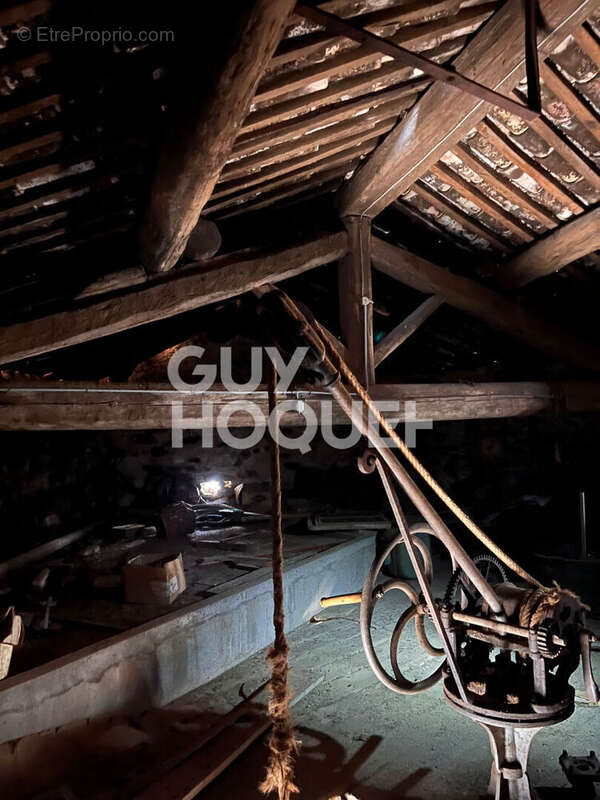 Autre à SAINT-JEAN-DE-MINERVOIS