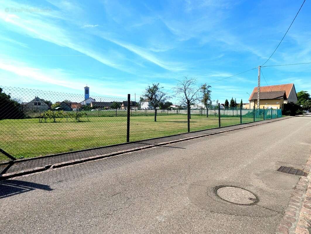 Terrain à MUNCHHOUSE