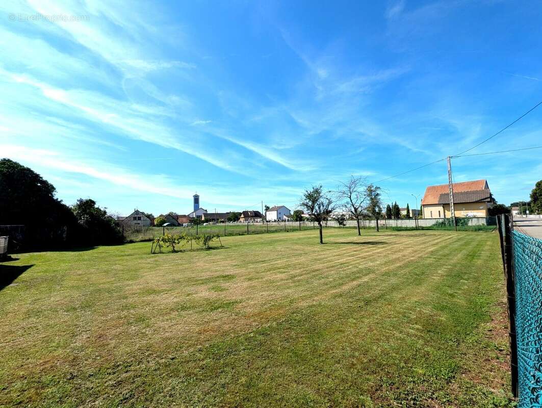 Terrain à MUNCHHOUSE