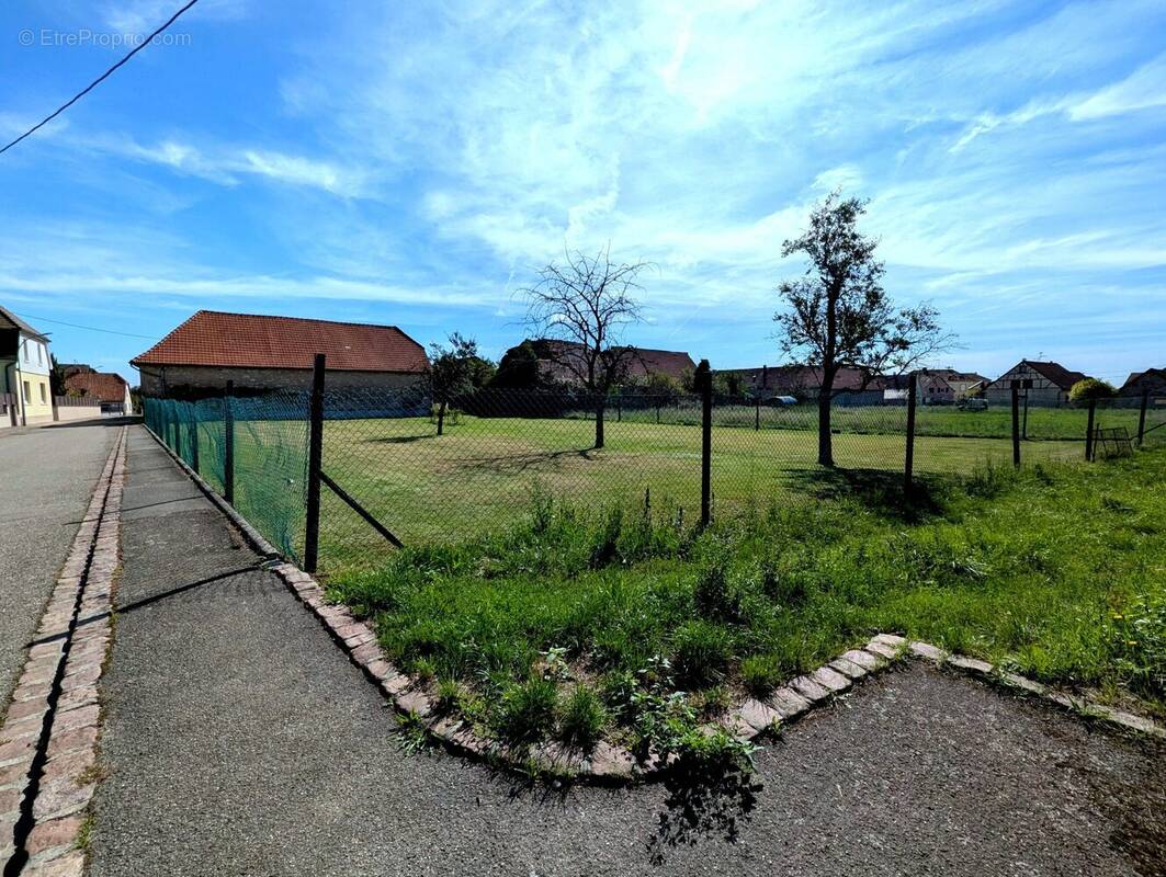 Terrain à MUNCHHOUSE