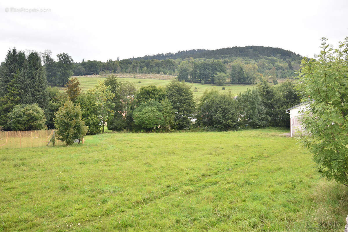 Terrain à PLAINFAING