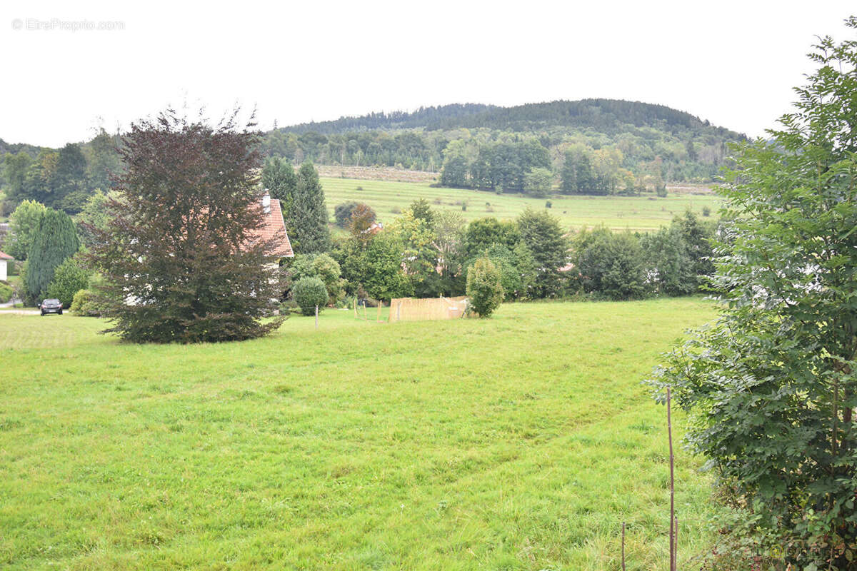 Terrain à PLAINFAING