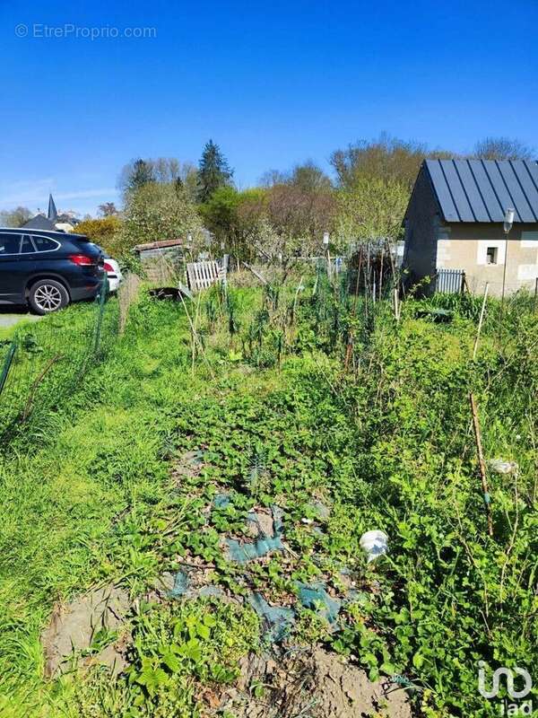 Photo 8 - Maison à ARTANNES-SUR-INDRE