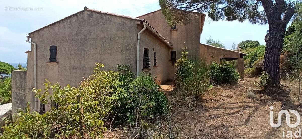 Photo 4 - Maison à ROQUEBRUNE-SUR-ARGENS