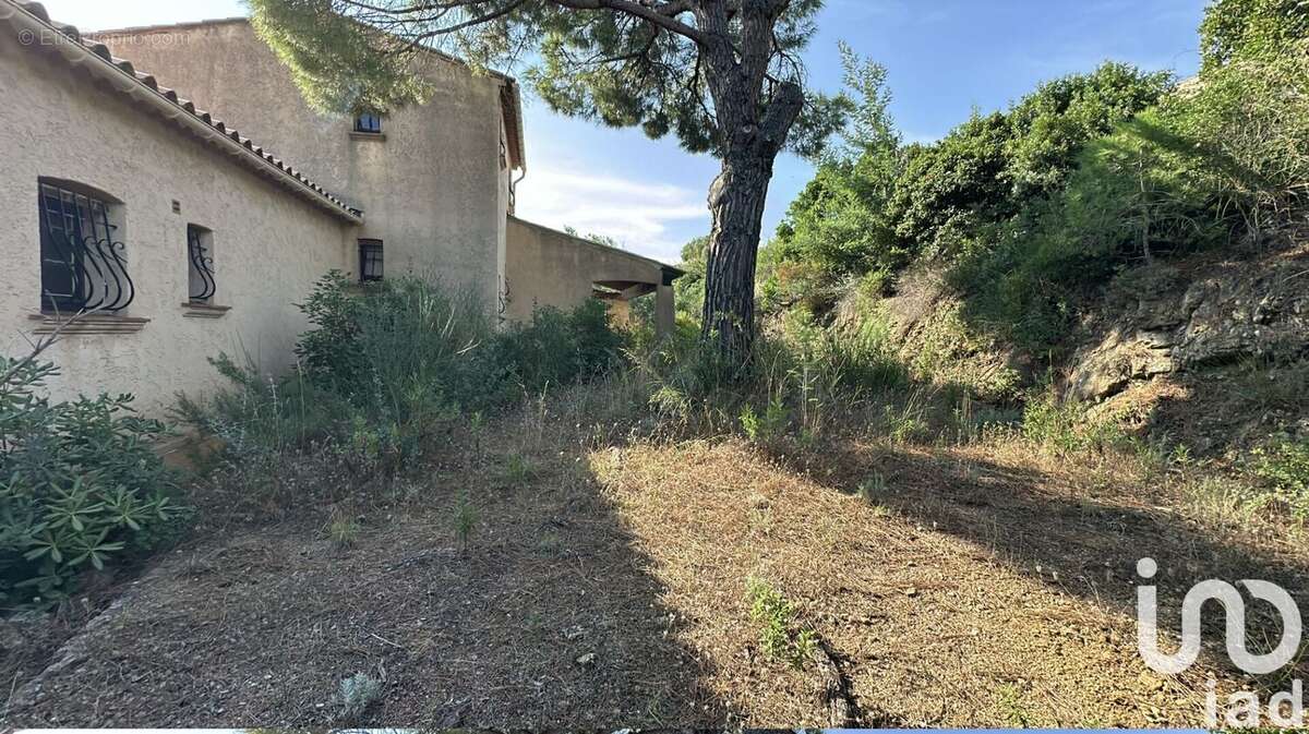 Photo 5 - Maison à ROQUEBRUNE-SUR-ARGENS
