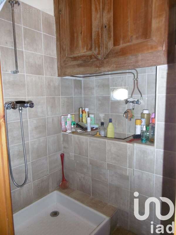 Photo 7 - Maison à BUSSIERE-POITEVINE