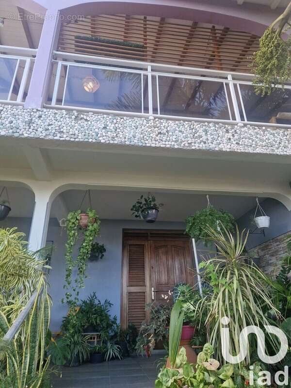 Photo 2 - Appartement à BASSE-TERRE