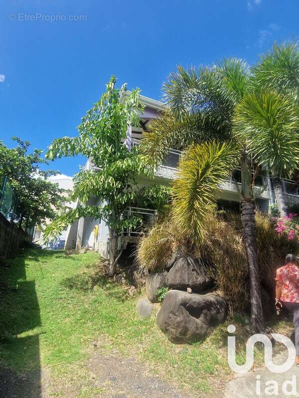 Photo 3 - Appartement à BASSE-TERRE