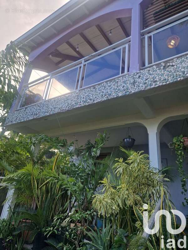 Photo 4 - Appartement à BASSE-TERRE