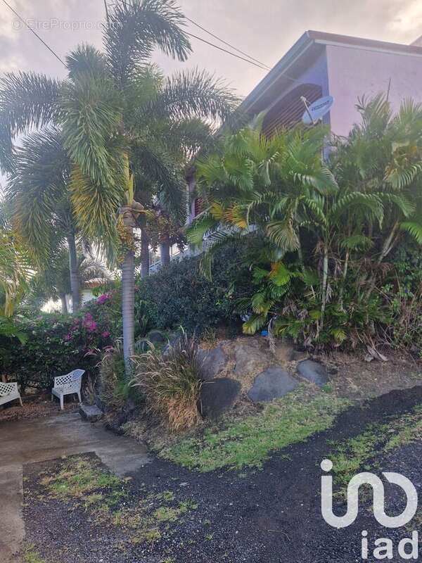 Photo 6 - Appartement à BASSE-TERRE