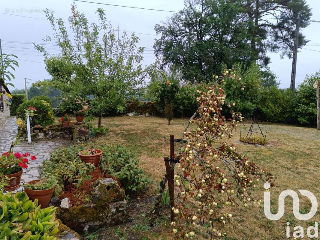 Photo 6 - Maison à SAINT-JULIEN-AUX-BOIS