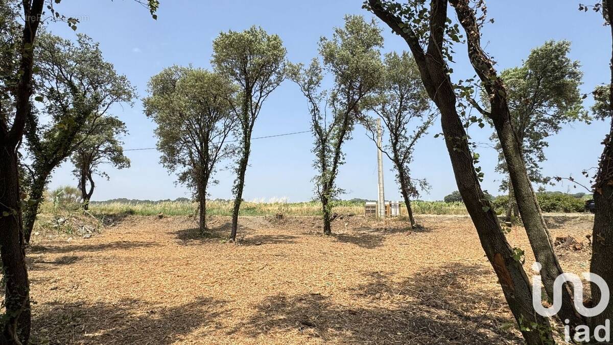 Photo 1 - Terrain à BEDARRIDES