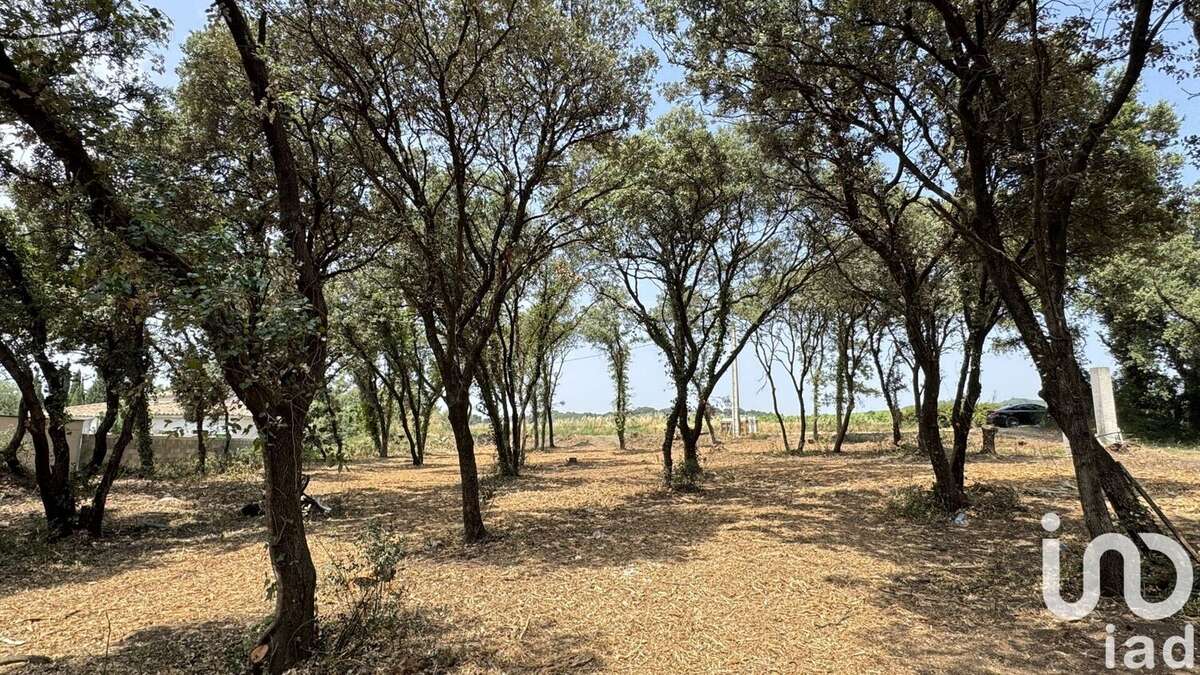 Photo 2 - Terrain à BEDARRIDES