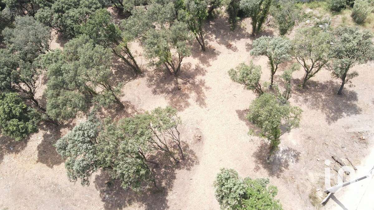 Photo 4 - Terrain à BEDARRIDES