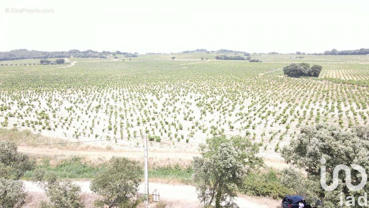 Photo 5 - Terrain à BEDARRIDES