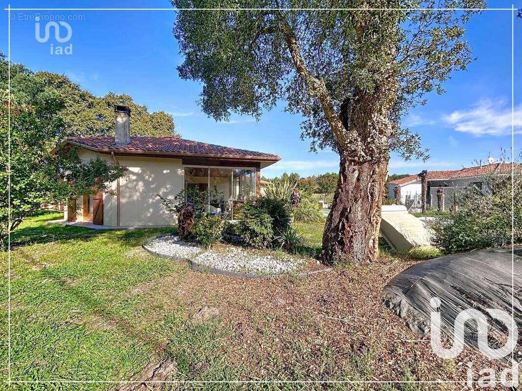 Photo 3 - Maison à SOUSTONS